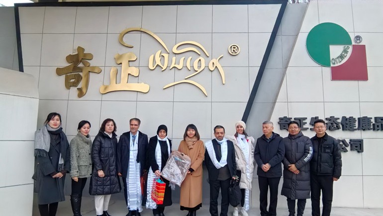 深掘藏医瑰宝，共绘康健新篇——伊朗代表团莅临菠菜担保网集团参访交流